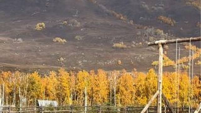 都说秋天适合思念，但我想说阿勒泰的秋天更适合见面#我们在秋天的新疆见面吧 #旅行推荐官 #禾木村