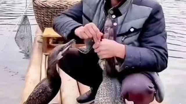 #山青水秀好风光游山逛水看风景 #游山玩水释放心情 #这里是广西桂林