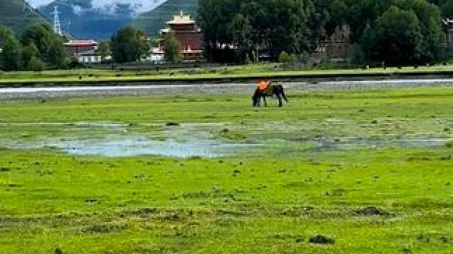 “好的风景就是治愈心情的良药，音乐也是”最美的风景在路上#我的随手拍  #好风景好心情