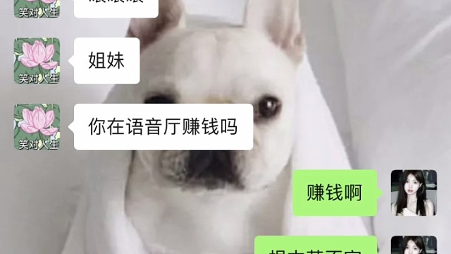 重生之我在语音厅打工