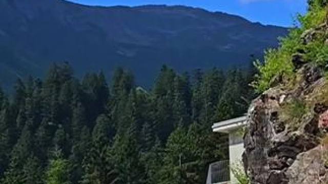 #风景都在路上 #大山深处自然美 #一起享受大自然的美