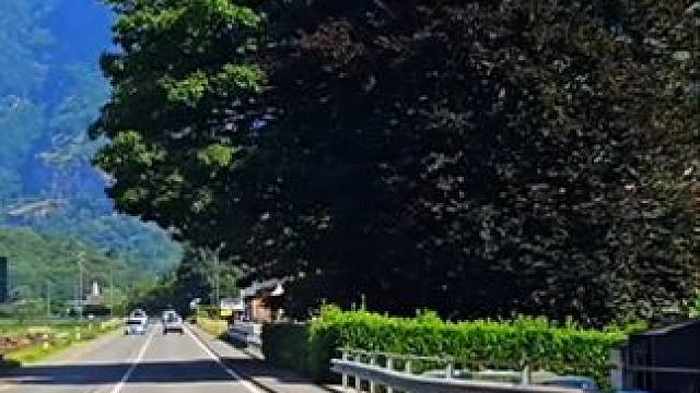 #风景都在路上 #大山深处自然美 #沿途风景随拍 #一起享受大自然的美