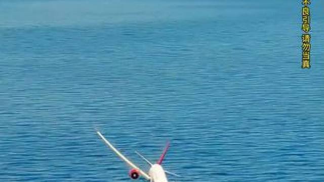 模拟器：客机机翼贴着海面，半个身子都泡在水里#飞机