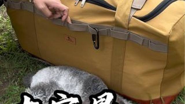 户外露营，装备多不好收纳，加大容量收纳包它来了，轻松收纳你所有露营装备#户外露营 #出差旅行必备 #