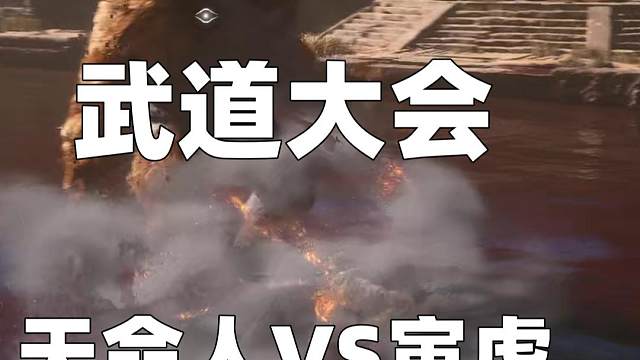 西游武道大会天命人VS寅虎，真正大师永远怀着一颗学徒的心 #黑神话悟空创作激励 #黑神话悟空  #s