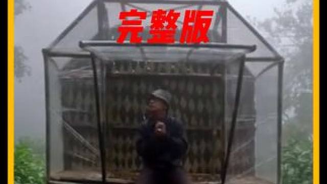 沉浸式感受户外生活 #野外露营