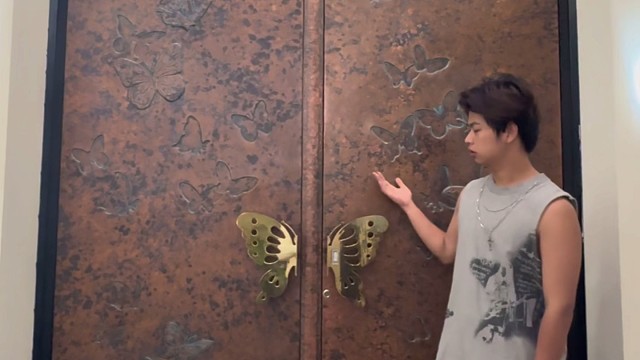 TINNO帝诺系统入户门