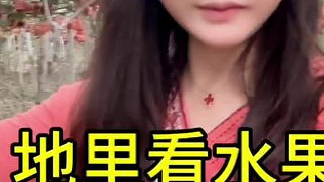 看水果顺便蹭饭，都不知道红心猕猴桃长什么样吧！我们老家是原产