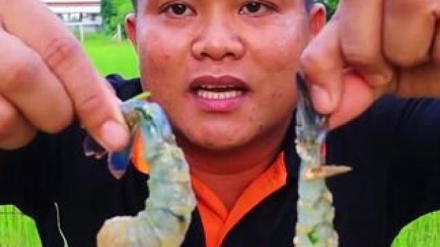 泰式酸辣凉拌️冰镇大青虾小苦瓜茴香叶 #泰国美食 #泰国生活 #泰式凉拌海鲜视频 #泰国主播吃美食视