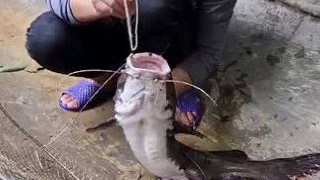 #农村捉鱼视频 #记录真实生活 #新农人计划