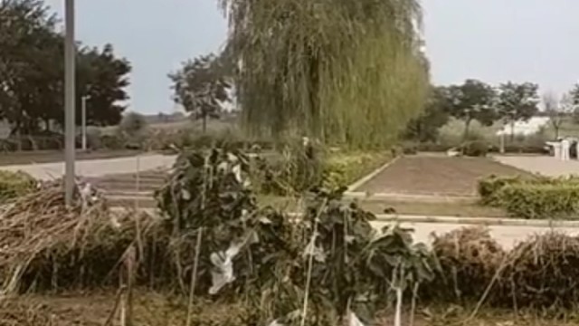 8月24日锦州漫水桥捕鱼