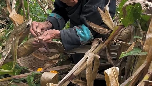 活到老，干到老