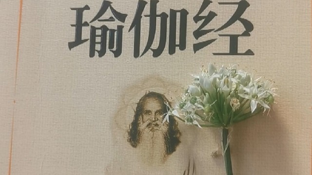 瑜伽经的力量，无法无天，但是首先是善良