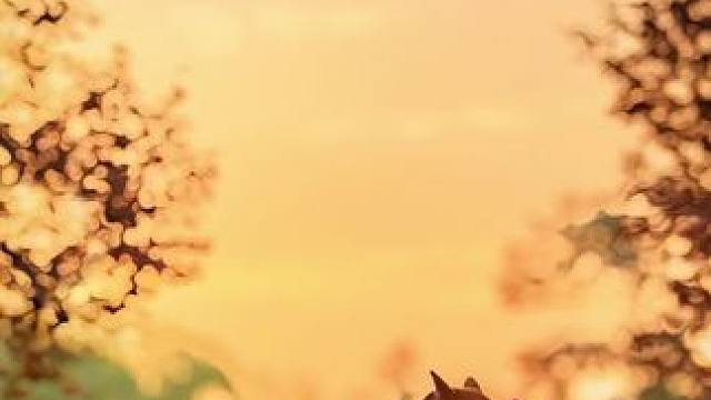 #治愈系风景 #萌娃和萌宠 #萌娃和狗狗 #夕阳下的背影 #抓拍小狗的瞬间 简单的幸福