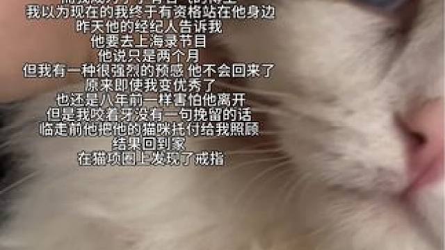 大家都说我们的故事像小说 可生活不是小说 没办法相逢又相逢#橙子老师什么时候上桌