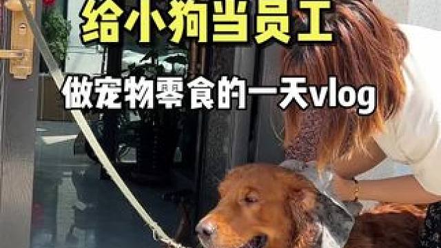 给小狗做员工的一天vlog，真正意义上的狗老板 #萌宠出道计划 #vlog日常 #我的乡村生活