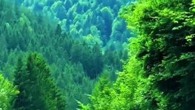 #风景都在路上 #大山深处自然美 #一起享受大自然的美 #亲近大自然