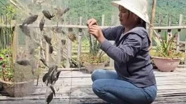 #农村捉鱼视频 #记录真实生活 #新农人计划