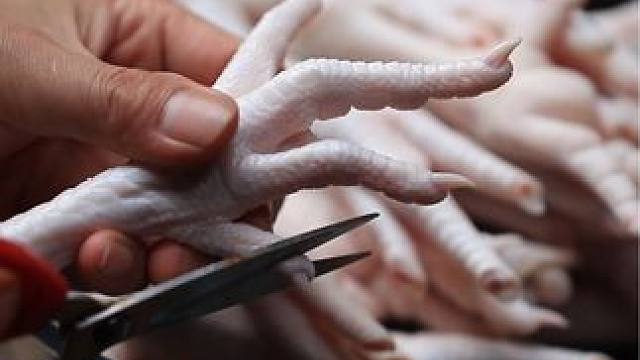 居然想要有骨头的无骨鸡爪 #追剧小零食 #无骨鸡爪 #嘎嘣脆