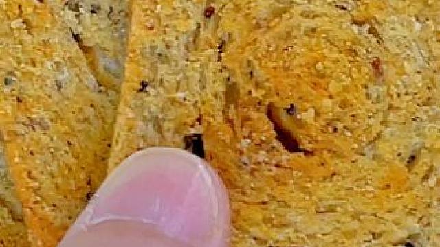 老婆晚上嘴馋的时候我就给他吃这个粗粮烤馍