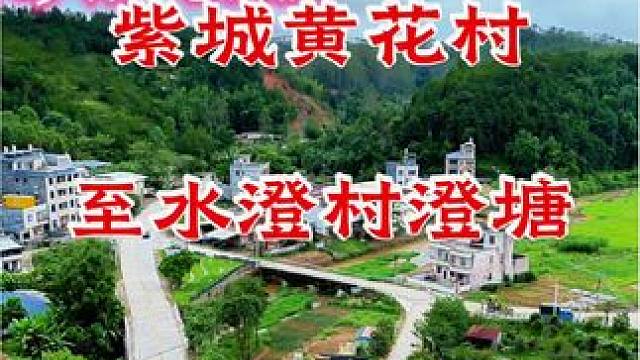 走拍永安-第四十期，不知不觉拍紫金风光视频已四十期了，感谢友友们的观看支持和陪伴，正是有你们的支持，