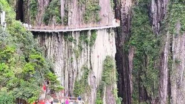 这里不是黄山，也不是华山，这里是湖南莽山的云端栈道！ #航拍莽山 #一座不用爬的山 #莽山五指峰景区