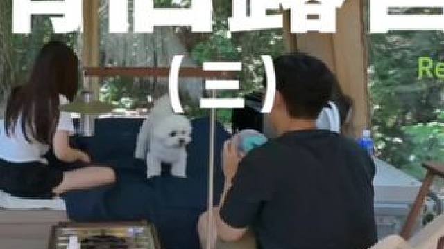 情侣露营（三）小狗能有什么坏心思，它只是想和你们出去露营，一起Happy呀！喜欢的记得点赞关注哟~#