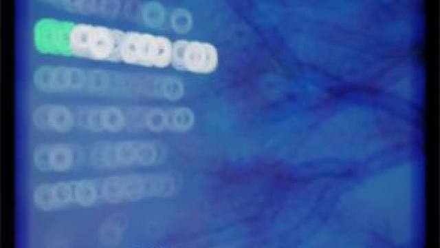 时光清浅，许你安然，愿流年不负，岁月可期#音乐治愈 #依然爱你崔十八