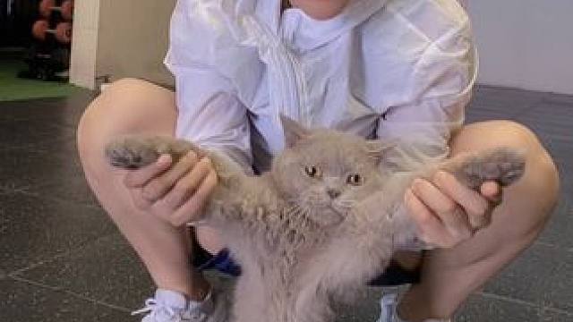 回来了姐妹们，
明天周一正常训练了