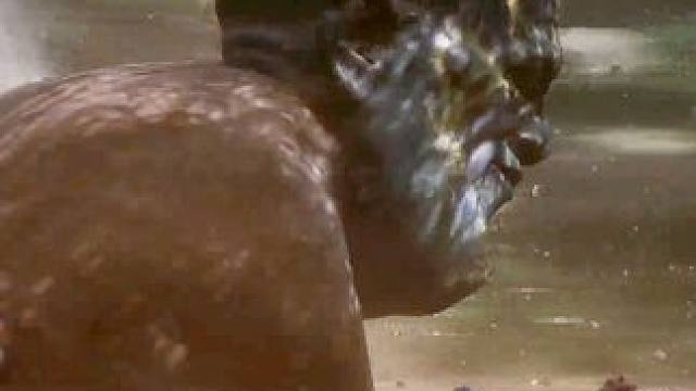 新人杀手，大头守卫~ #黑神话悟空