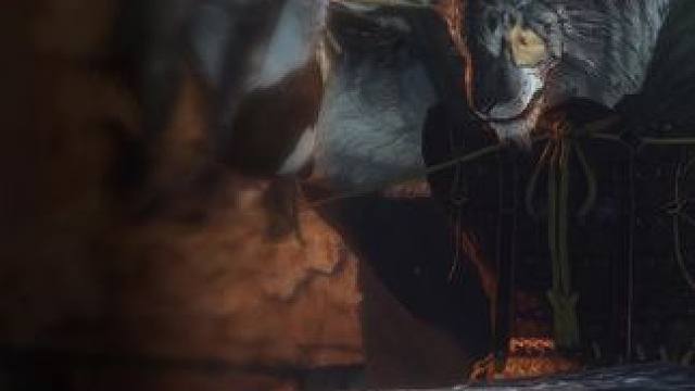 我那么喜欢寅虎可惜为啥看见杨戬就跪下！