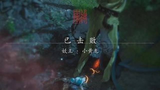 初见小黄龙思路推荐