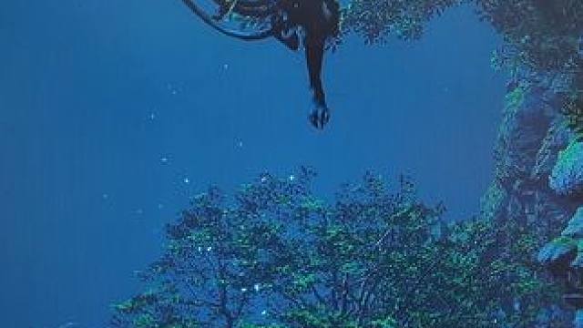 屡战屡败，屡败屡战，这才是我心中的大圣