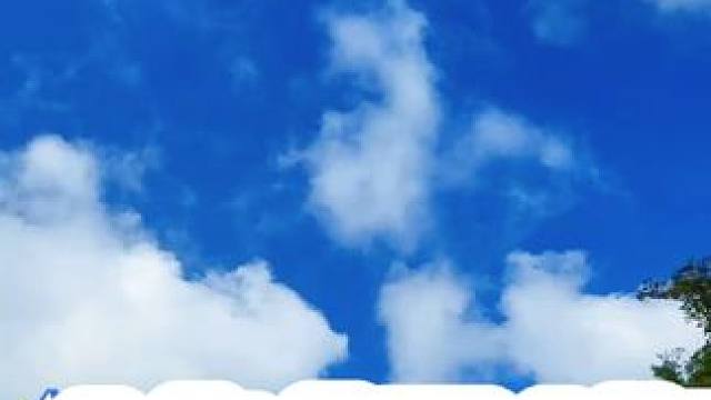 峻极峰 #登上山顶看美景 #河南刚哥#志刚在路上