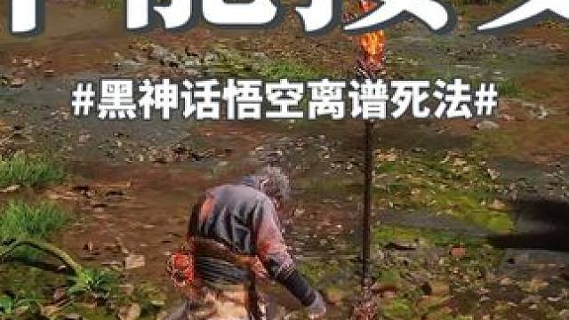 这种死法我不能接受 #创作灵感 #黑神话 #游戏日常 
哈哈哈哈，开荒的时候打的素材！这也太离谱了吧