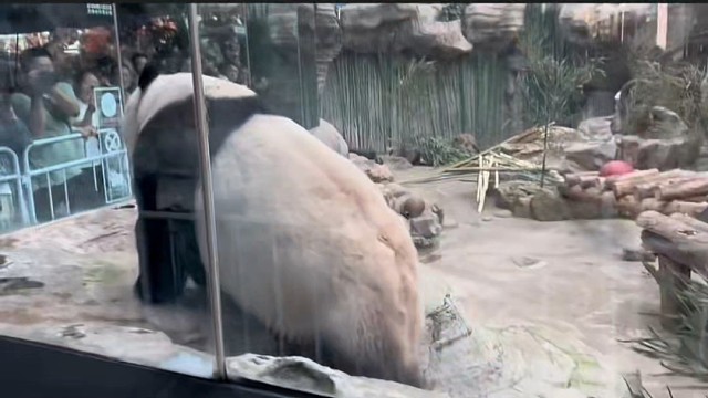 ：今天必须让你把这份钱花值了