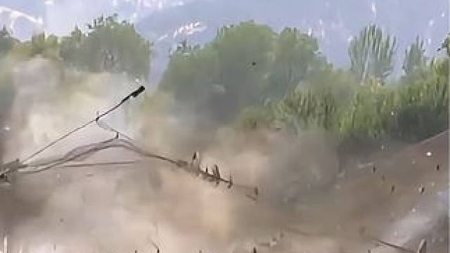 国外驱逐野鸽子 #纪录片解说 #原始技术 #动物世界