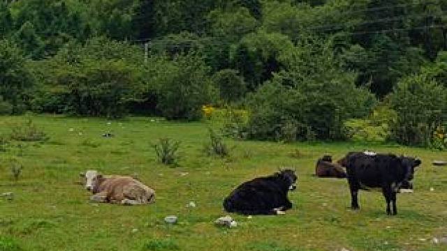 #每一次快门都不负热爱 #镜头是爱意的具象化 #用镜头定格时光 #身体和灵魂总有一个在路上 #美丽的