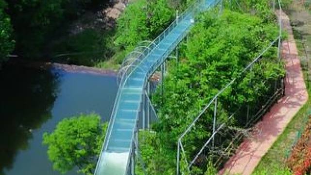 九峰山景区 #养在九峰山   听见蝉鸣，感受云淡风轻，自然的美好总是处处存在着惊喜。#大山深处自然美