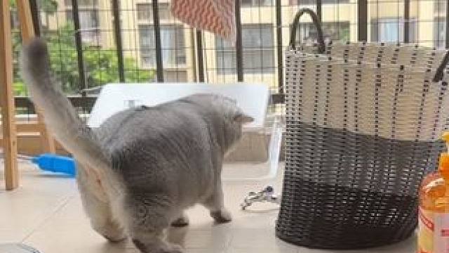 俩娃周末的惬意时光～ 