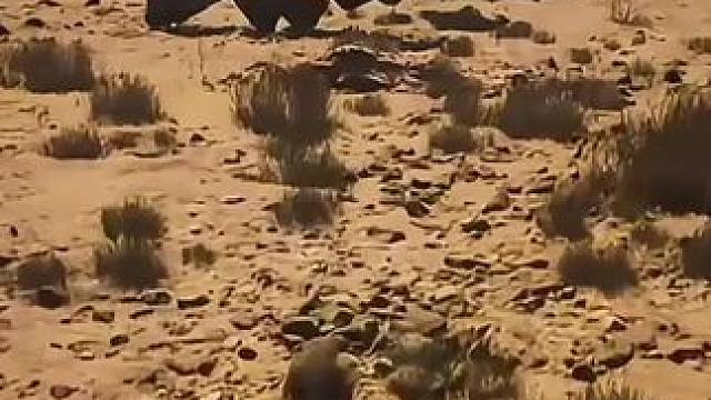 乱杀石先锋（就这？） #黑神话 #黑神话悟空 #黑神话悟空创作激励