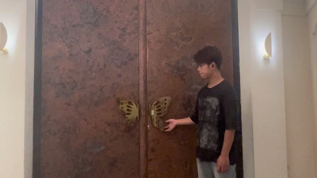 TINNO帝诺系统入户门