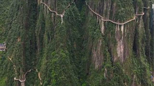 莽山的悬崖栈道也不长，也就八公里长#航拍莽山 #一座不用爬的山 #莽山五指峰景区