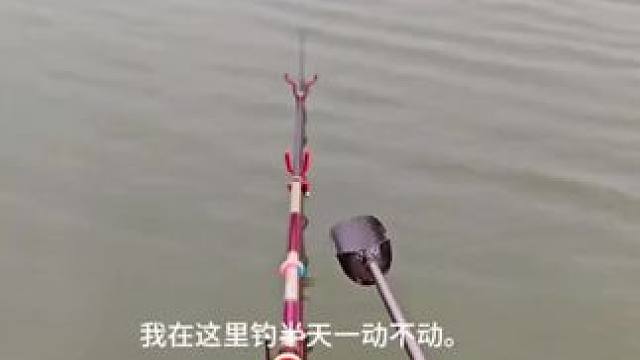 钓鱼人~