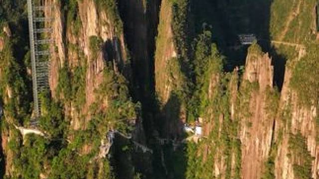 一个敢想，一个敢建，试问莽山绝壁天路有多险，请认真感受一下！#航拍莽山 #一座不用爬的山 #莽山五指