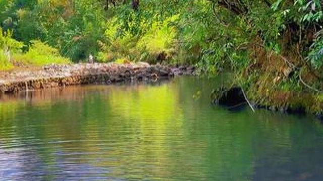 一眼就让你清凉一夏的小众风景 #远离城市的喧嚣 #大自然就是我的舒适区 #感受大自然的气息和美景 #