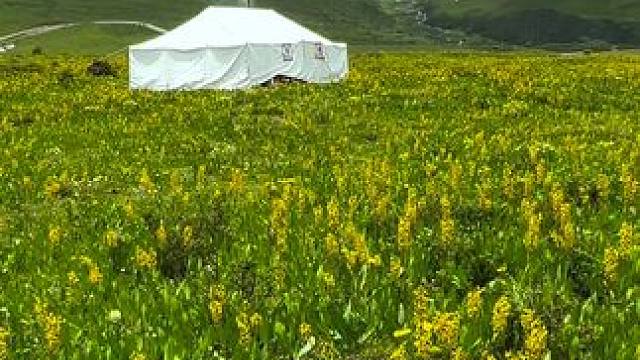 望不尽连绵的山川，蒙古包像飞落的大雁。目之所及，皆是美，最美的风景在路上#我的随手拍 #每一帧都是热