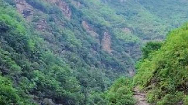 巩义大峡谷 #旅行推荐官 #远离城市的喧嚣 #治愈系风景  #河南刚哥#志刚在路上