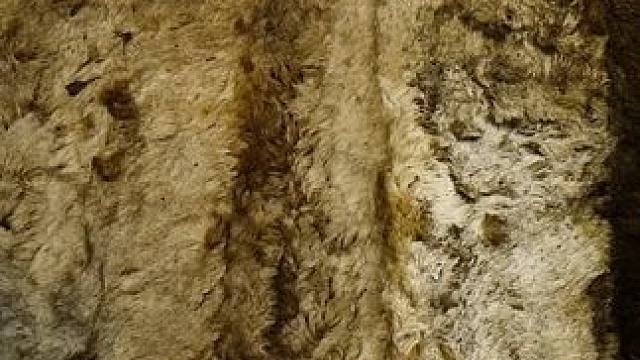 一块与地板融为一体的白色地毯也太好看了#解压#洗地毯#小兵三分钟爽玩#小兵大作战