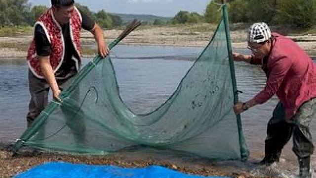 #户外捕鱼 #好多鱼